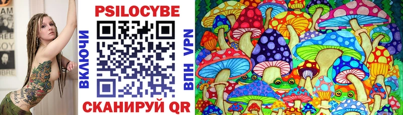 Псилоцибиновые грибы Psilocybe  Купить где  Котельниково 